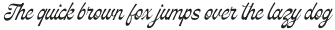 Delagio Script Thin Italic otf (100)