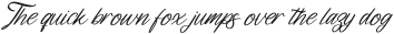 Leandro Daniel Italic otf (400)