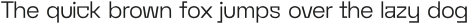 Adomania Light Italic otf (300)