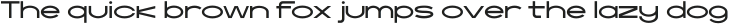 IF Kica Light ttf (300)