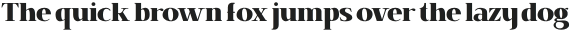 Brixton Pro Condensed Heavy otf (800)