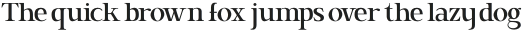 Brixton Pro Condensed Thin otf (100)