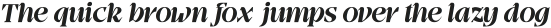Brave Hunter Italic ttf (400)