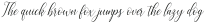 brillyo  Slant ttf (400)