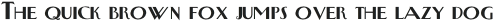 Newyorkertype Bold otf (700)