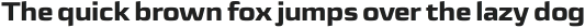 Sica Expanded ExtraBold otf (700)