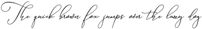 SophiaExt3 Medium otf (500)