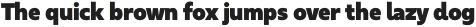 Urbani UltraBlack otf (900)
