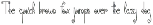 Spiralius Font. Volume 1 preview