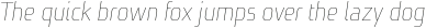 Niks Thin Italic otf (100)