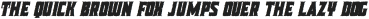 Celan Rough Italic otf (400)