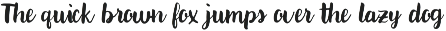 Paxton | A chic Hand written Font preview