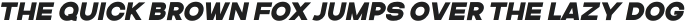Asparocus Extra Bold Italic otf (700)