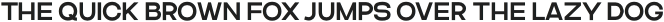Asparocus Medium otf (500)