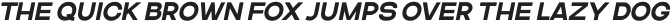Asparocus Semi Bold Italic otf (600)