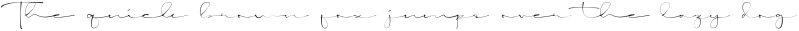 Solami Signature otf (400)