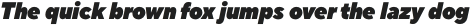 TT Norms Pro Compact ExtraBlack Italic otf (900)