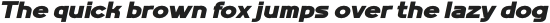 MN Grissee Italic Bold Expanded otf (700)