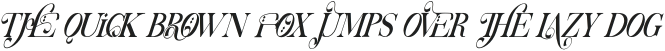 Words Taken Light Italic otf (300)