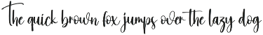 Winterlive | Script Font preview