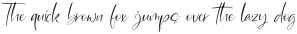 Member December Italic otf (400)