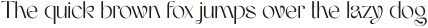 Armany-Regular otf (400)