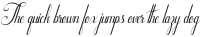 Ornatique Italic otf (400)