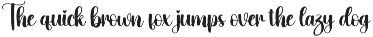 Bear | Script Font preview