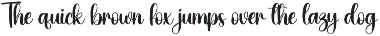Dandelion | Script Font preview