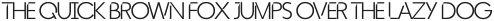 Flyhead Light otf (300)