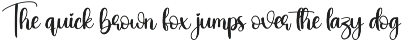 Bonfire | Script Font preview