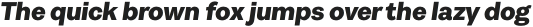 Pais ExtraBold It otf (700)