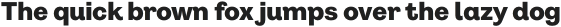 Pais Alt ExtraBold otf (700)