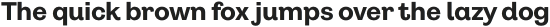Pais Alt Bold otf (700)