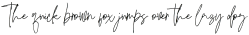 Falsoky Signature Brush Regular otf (400)