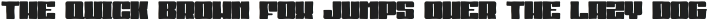 Sport Record Brush Regular otf (400)
