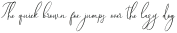 Mahenka Script otf (400)