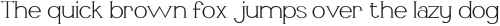 Li�vin Thin otf (100)