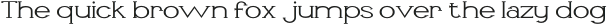 Li�vin Light Expanded otf (300)