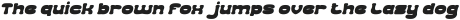 Geographic Bold Italic otf (700)