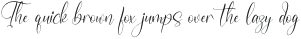 Janoela Seolen Italic otf (400)