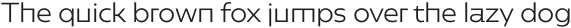 Caprina Light otf (300)