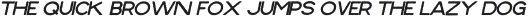 Shore Rough Italic otf (400)