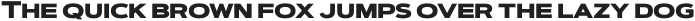 Artegra Sans Extended SC Light Italic otf (300)