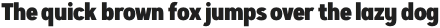 Artegra Sans Extended ExtraBold Italic otf (700)