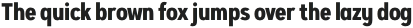 Artegra Sans SC Medium otf (500)