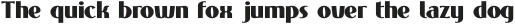 Phonema Bold otf (700)