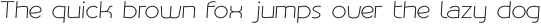 Phonema Light Italic otf (300)