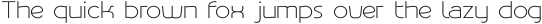 Phonema Light otf (300)