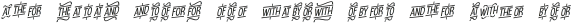 D Sert Extra 1 otf (400)